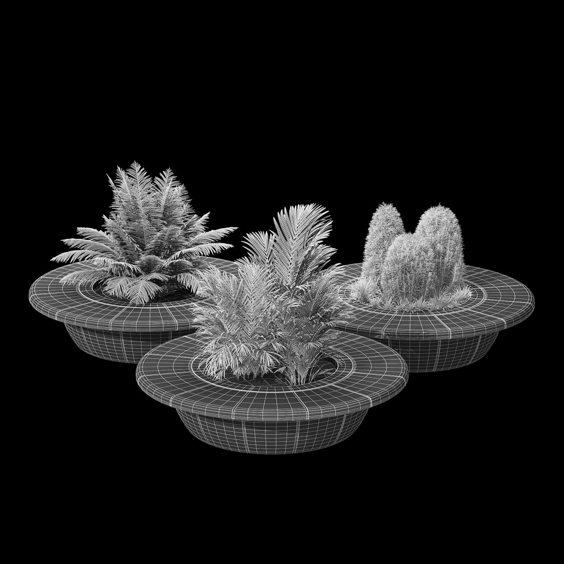 Ring Tree 3D Model for VRay, Corona | CGMood