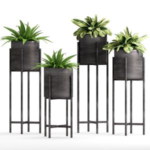 Decorative Plant Set - 02