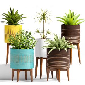 Decorative Plant Set - 04