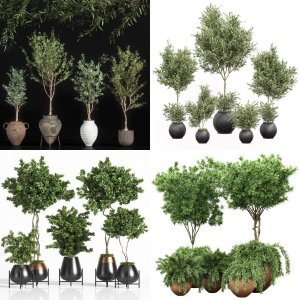 4 indoor plant and Outdoor plant objects