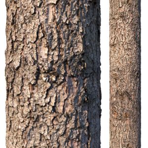 Spruce Bark Material
