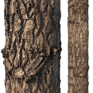 Tree Bark Material