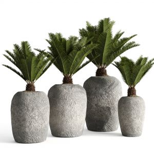 RH Cantera Planters With Sago Palm