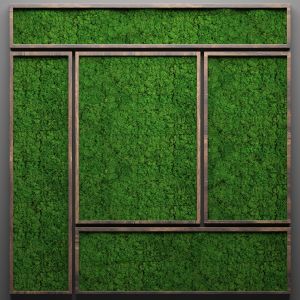 Stabilized Moss, Wall decor, painting
