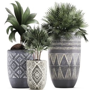Plants In Flower Pots For The Interior 475