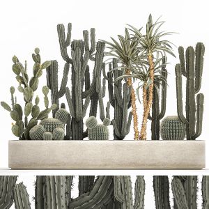 Cactus Set In A Concrete Flowerpot 1096