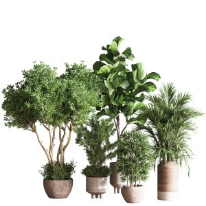 Indoor Plant Set 67