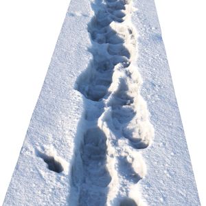 Winter Snowpath 03 (6 Meters)