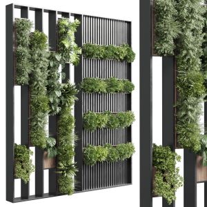 Plants Set Partition In Wooden Frame Vertical Grad