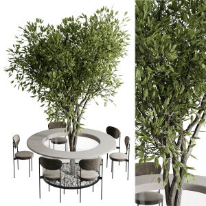 Plant In Dining Table Set 02
