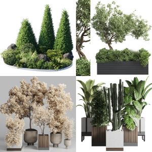 outdoor plant collection