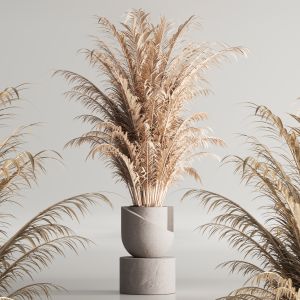 Indoor Plant Set 99 Dry Plants
