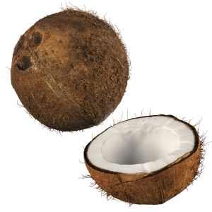 4k Scanned Coconut 02