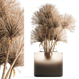 Small Bouquet Of Dried Flowers Vase Hogweed