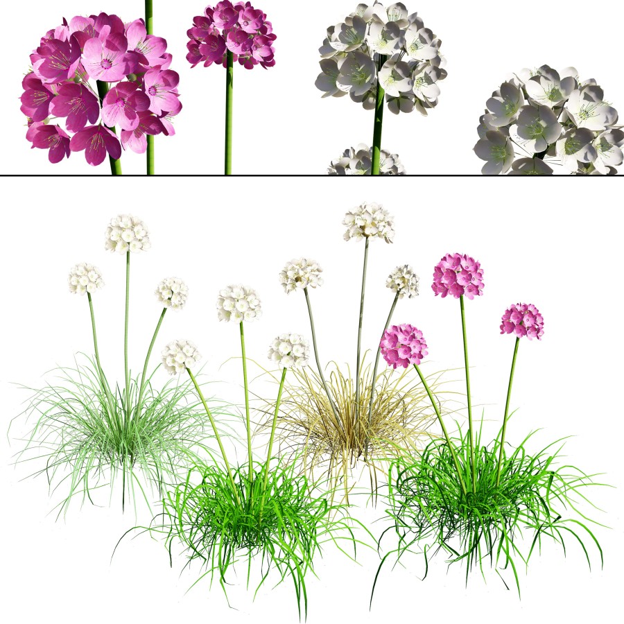 3D Flower Sea 179