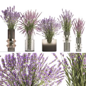 Set Of Bouquets Of Wild Flowers Vase Lavender Sage