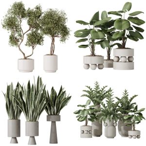 5 Different SETS of Plant Indoor. SET VOL140