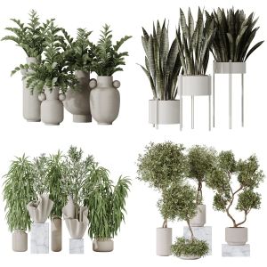 5 Different SETS of Plant Indoor. SET VOL142