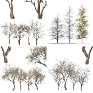 6 Different SETS of Plant Tree. SET VOL143