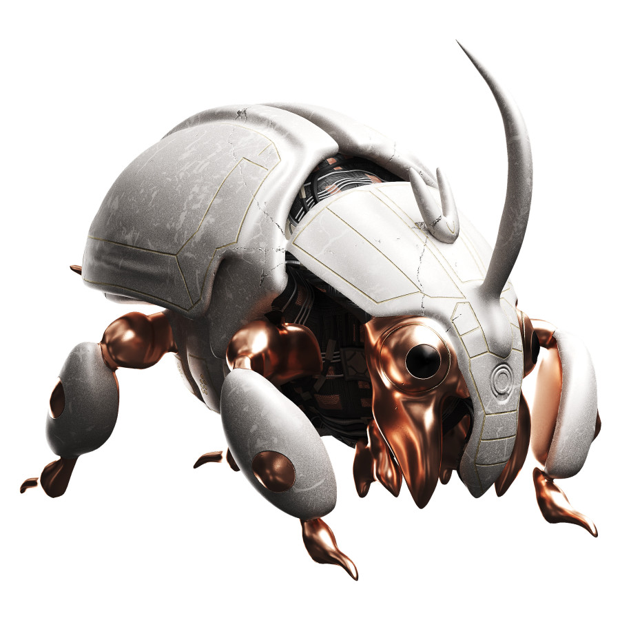 Beetle by Raxmatulla Raxmatov