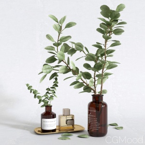 Decorative Set With Eucalyptus In A Vase