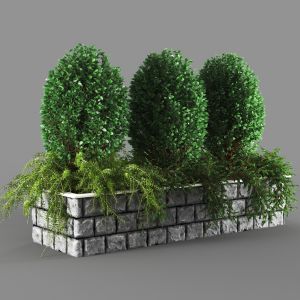 Urban Plant