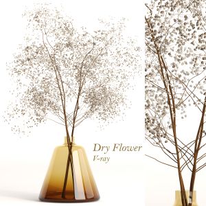 Dry Flowers 002