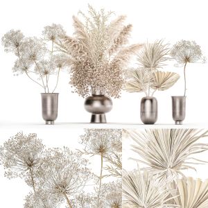 Set Of Bouquets Of Dried Flowers Pampas Grass