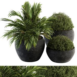 Outdoor Plants Tree In Concrete Pot - Set 104