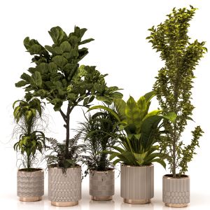 Indoor Plants Set02
