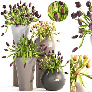 Tulips In A Flower Pot For Decoration