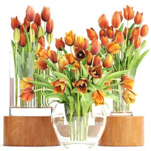 bouquet of tulips 3 pieces orange and yellow tulip