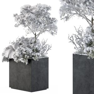 Outdoor Plants Tree In Concrete Pot Snow - Set 108
