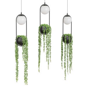 Scandinavian Lamps With A Plant