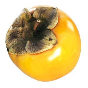 Persimmon Scanned 4k