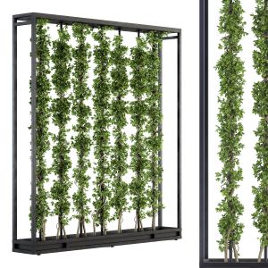 Vertical Garden Metal Frame - Plants Partition 09