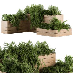 Outdoor Plants Tree In Plant Box - Set 127