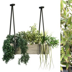 Indoor Celling Plant Box Set 197