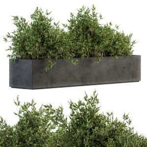 Outdoor Plants Tree In Concrete Box - Set 126