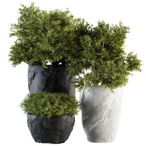 Outdoor Plants Tree In Rock Pot - Set 136