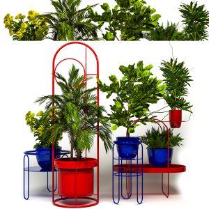 Indoor Plants Set10