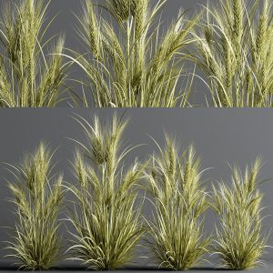 Wheat Landscape