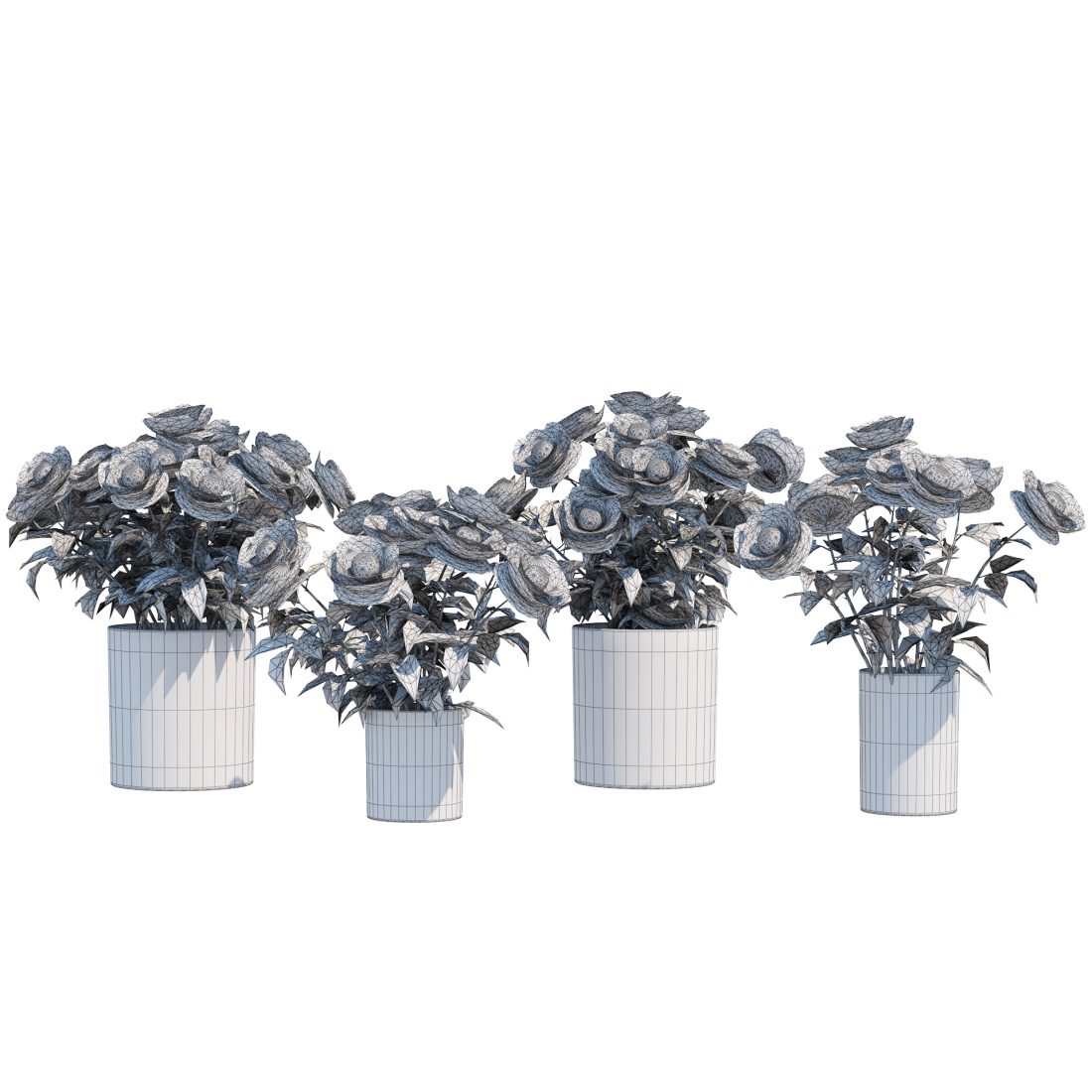 Floral Volumetric 3D Rose Cape - Rosella