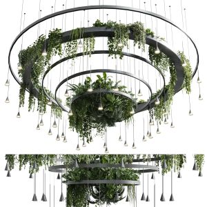 Circle Pot Light Pendant - Plant Light Hanging 12