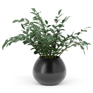 Green Plant Bouquet