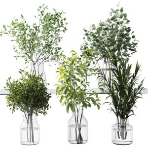 Collection Green Plants Bouquet Indoor 12