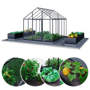 Greenhouse. Kitchen Garden