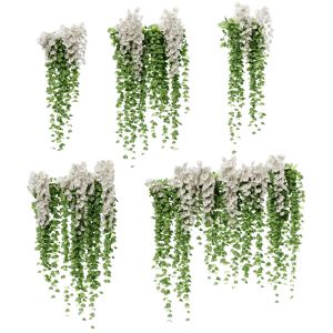 Hanging Plants With White Orchid Flowers
