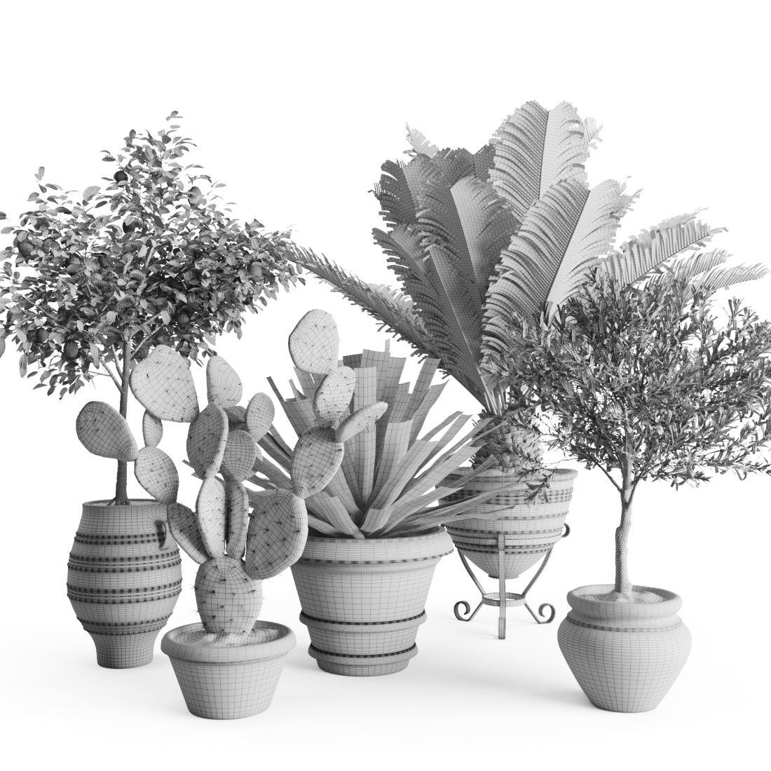 Set Mediterranean Plants In Antique Pots 3D Model for Corona