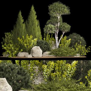 Alpine Hill With Thuja, Pine, Juniper And Bushes